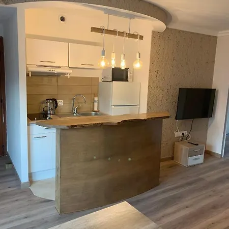 Superbe 2 Pieces A 50 M De La Promenade Des Appartement *